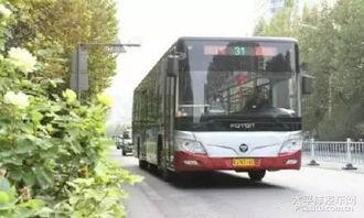 沧州公交车爆料事件最新,事件真相与公众关注的焦点解析 第1张 沧州公交车爆料事件最新,事件真相与公众关注的焦点解析 第1张