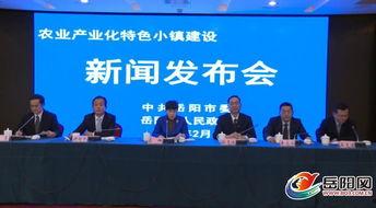 岳阳最新新闻爆料网,揭秘岳阳本土热点事件！  第1张